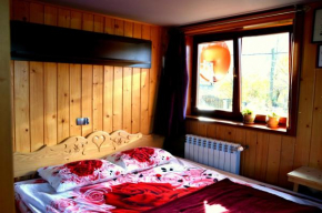 Отель MSC Apartments Honeymoon, Закопане
